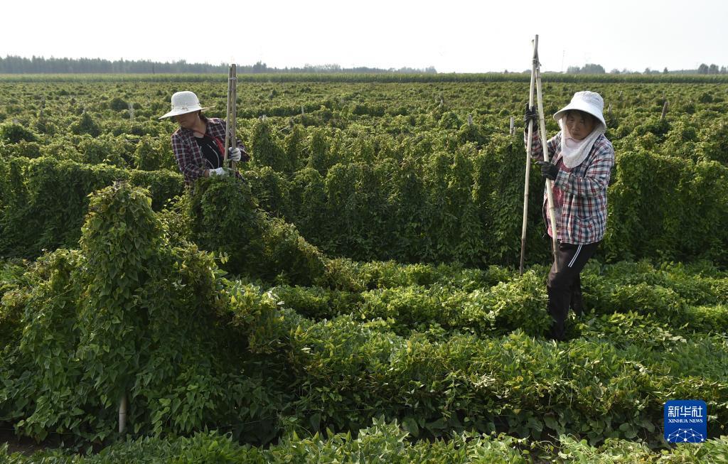 大满贯电子游戏网站